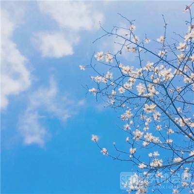 剑断红尘无限元宝版下载