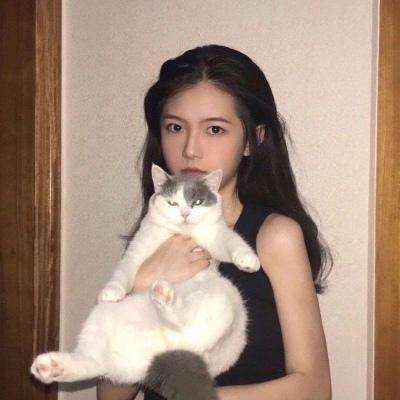 废土危行内购破解版下载